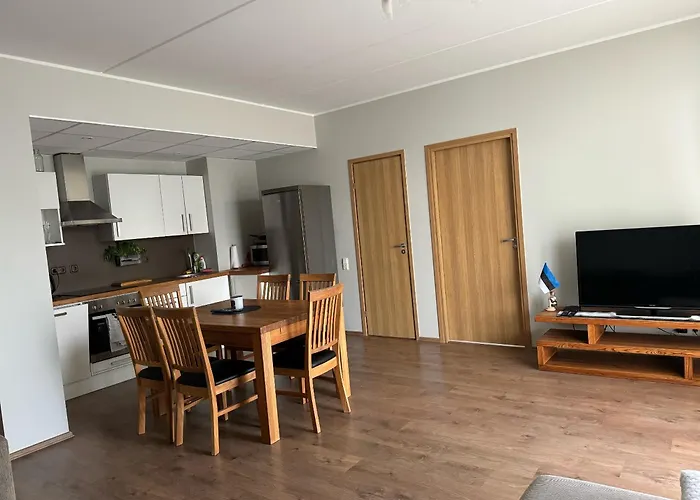 Beautiful With Sauna 公寓 塔林