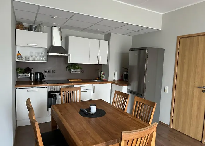 Beautiful With Sauna 公寓 塔林